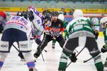 Eisbären empfangen den Meister