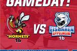 LL: Eisbären erstmals auswärts gefordert