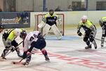 RL: Eisbären reisen zu den Hornets